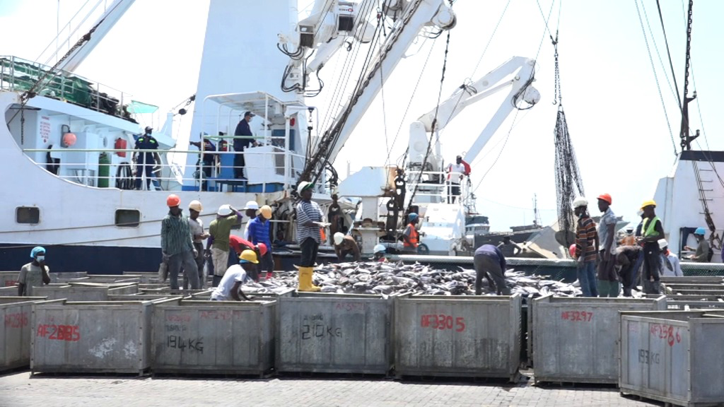 Ghana&rsquo;s tuna industry in crisis as 20 hook-and-line vessels collapse